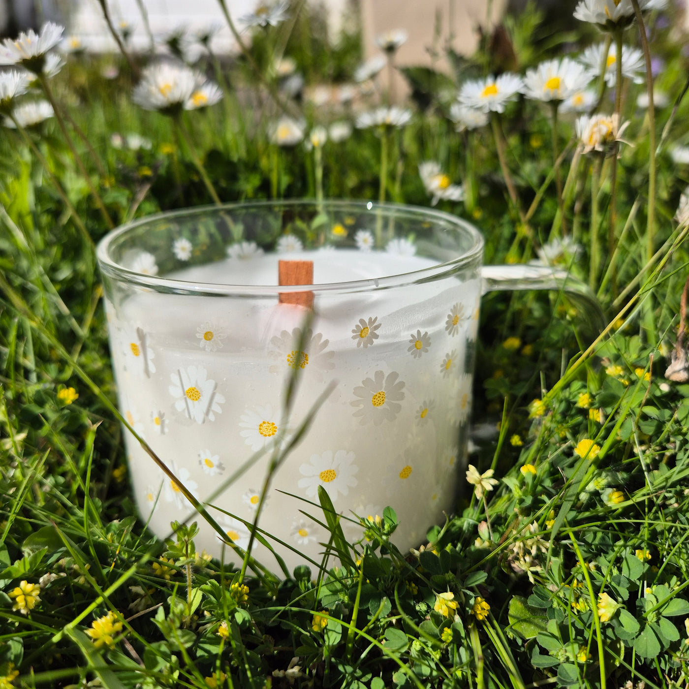 Daisy Daydream Candle - Love Letter Cosmetics 