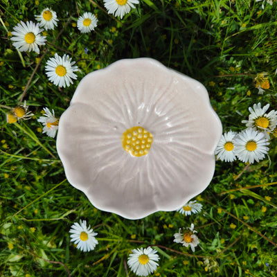 Daisy Days Duo – Light, Bloom & Glow - Love Letter Cosmetics 