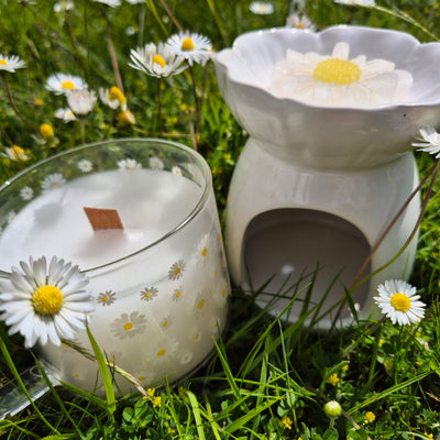 Daisy Days Gift Set – A Bloom-Filled Bundle of Joy - Love Letter Cosmetics 