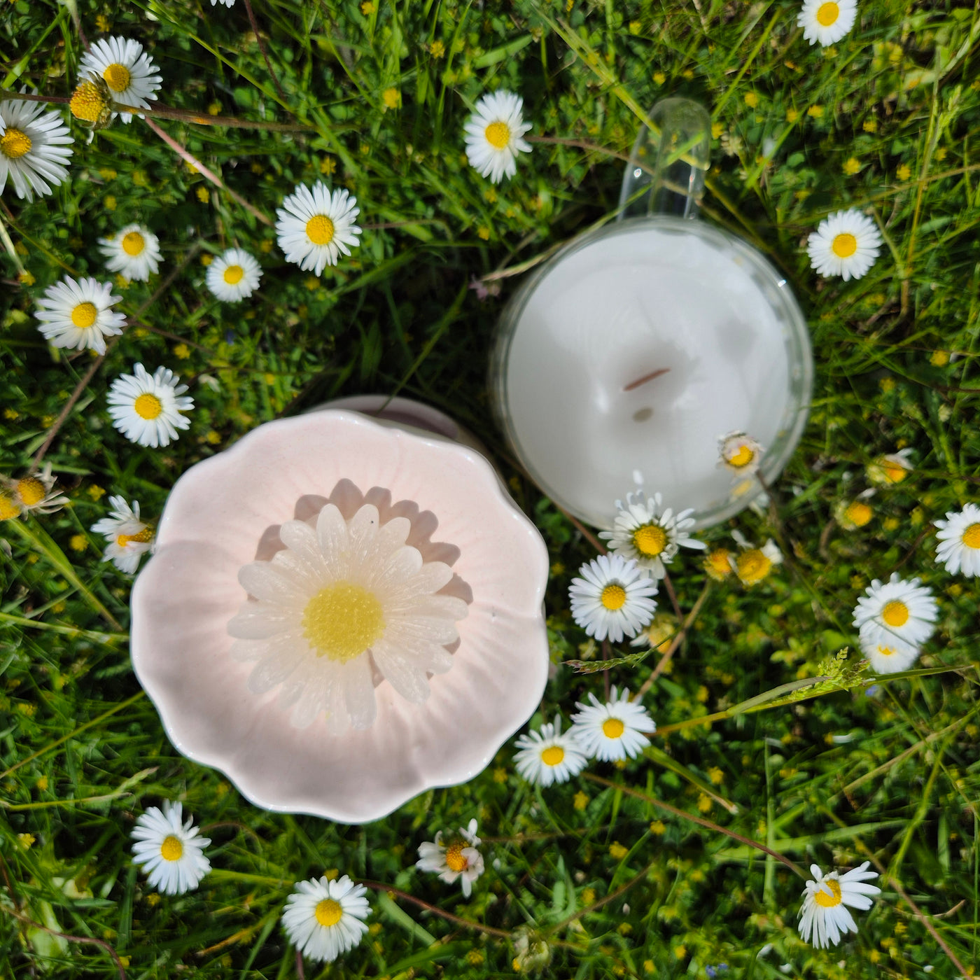 Daisy Days Gift Set – A Bloom-Filled Bundle of Joy - Love Letter Cosmetics 