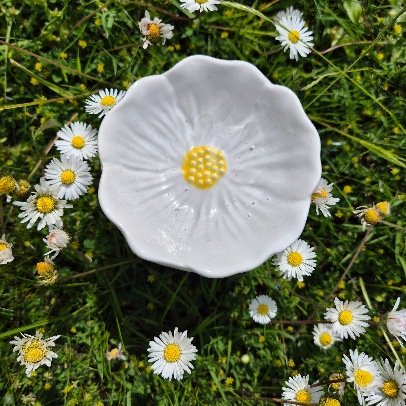Daisy Delight Wax Melt Burner – Bloom Where You Melt - Love Letter Cosmetics 