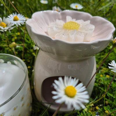 Daisy Days Gift Set – A Bloom-Filled Bundle of Joy - Love Letter Cosmetics 