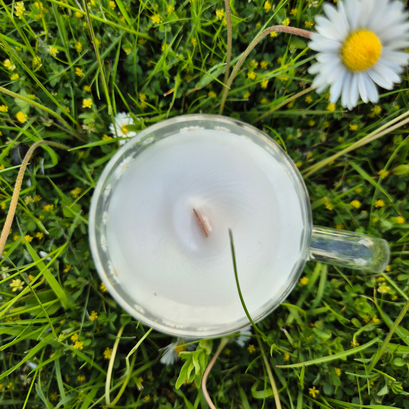 Daisy Daydream Candle - Love Letter Cosmetics 