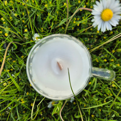 Daisy Daydream Candle - Love Letter Cosmetics 