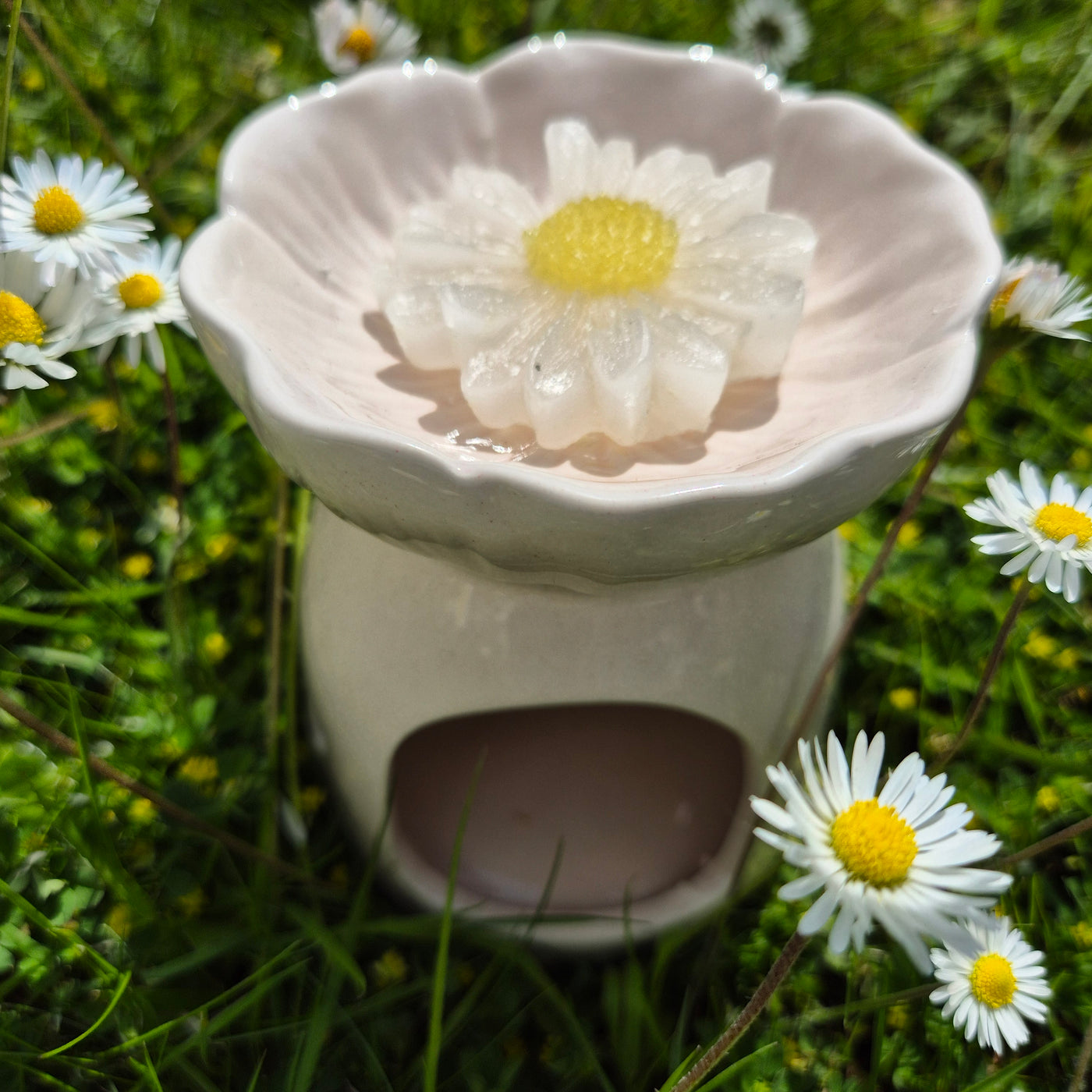 Daisy Delight Wax Melt Set – Bloom Where You Melt - Love Letter Cosmetics 