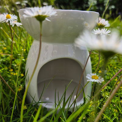 Daisy Delight Wax Melt Burner – Bloom Where You Melt - Love Letter Cosmetics 