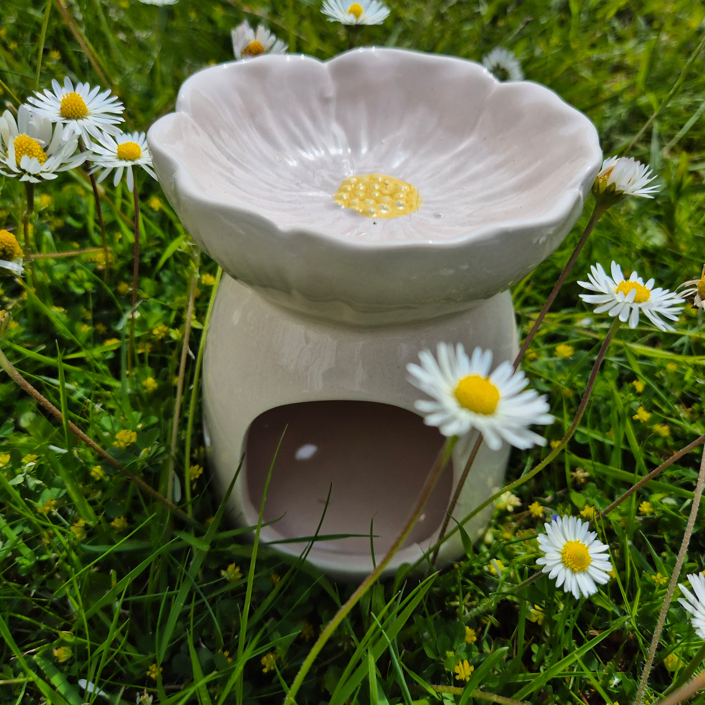 Daisy Delight Wax Melt Burner – Bloom Where You Melt - Love Letter Cosmetics 