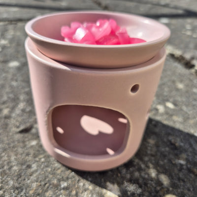 Sweetheart Wax Melt Set - Love Letter Cosmetics 