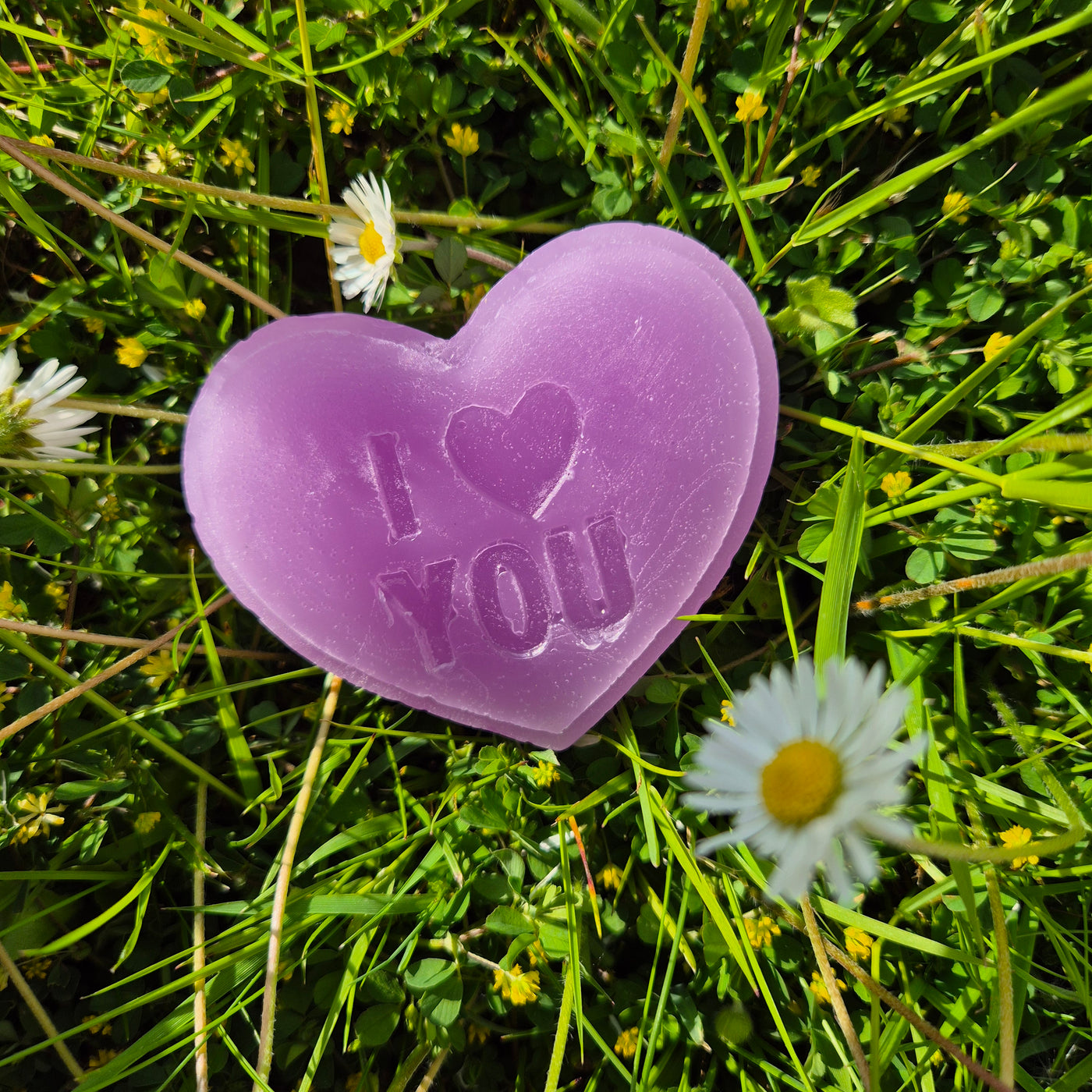 Lavender Dreams Wax Melt Set – Romance, Relaxation & Heartfelt Scents - Love Letter Cosmetics 