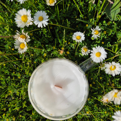 Daisy Daydream Candle - Love Letter Cosmetics 