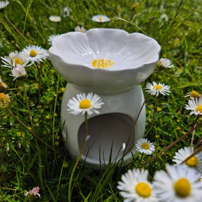 Daisy Days Duo – Light, Bloom & Glow - Love Letter Cosmetics 