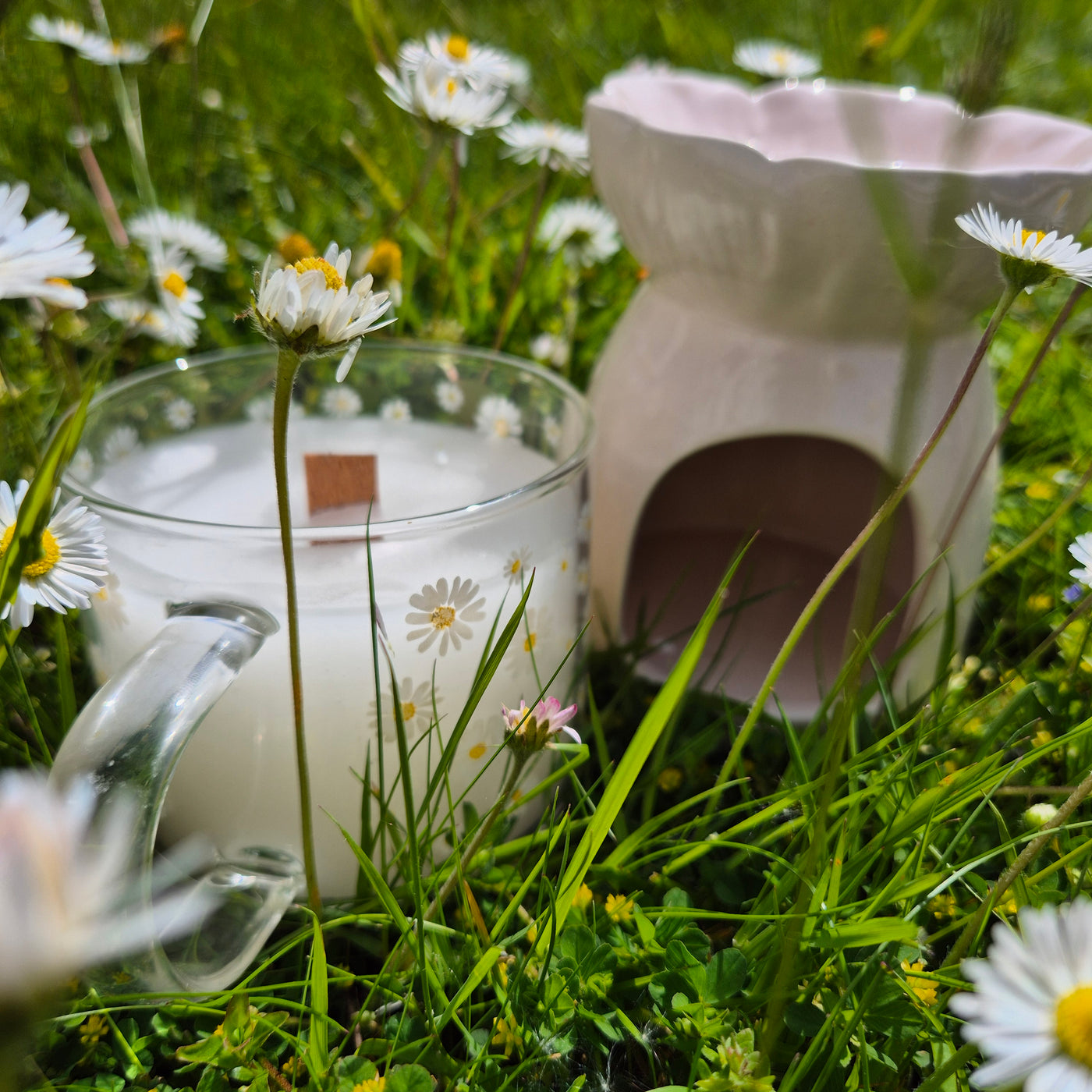 Daisy Days Duo – Light, Bloom & Glow - Love Letter Cosmetics 