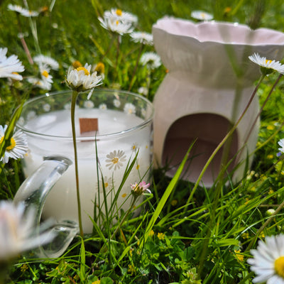 Daisy Days Duo – Light, Bloom & Glow - Love Letter Cosmetics 
