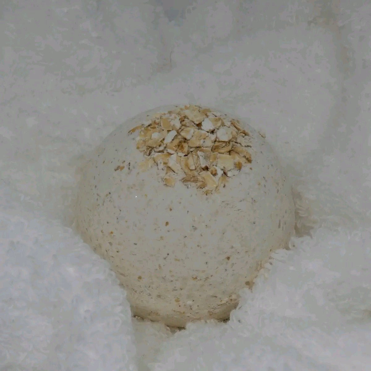 OAT Bath bomb